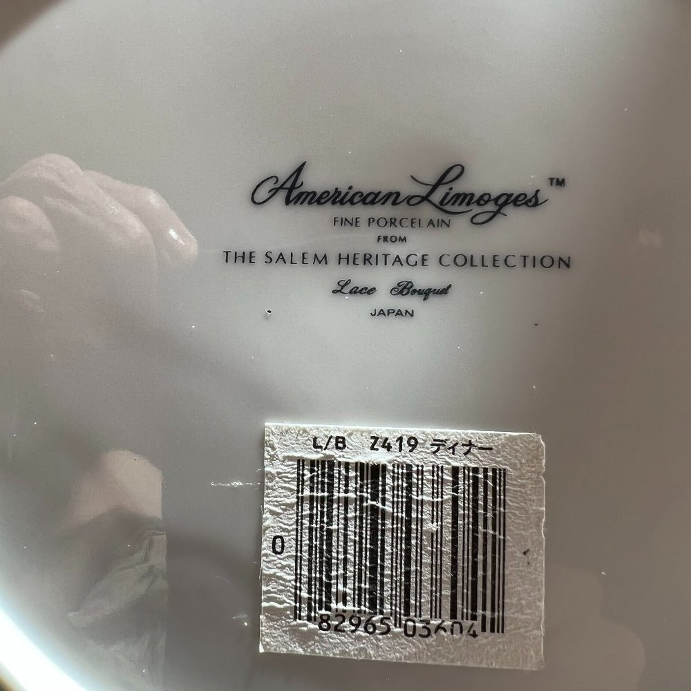 American LImoges Salem collection 24 pc set of dishes